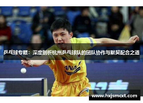 乒乓球专题：深度剖析杭州乒乓球队的团队协作与默契配合之道